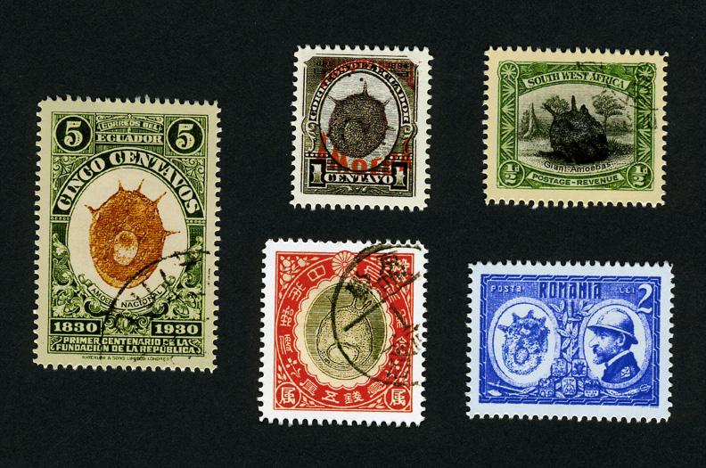 Amoeba Stamp Set